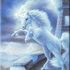 SeekerOfspirit