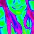 Taylor Ulmer