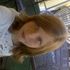 Ariel Parmley