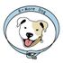 Bmore Dog