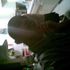 DAVId MUrIllo