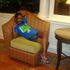 Kiky Sima