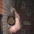 Adam Swinnerton