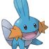 Mudkip Pokemon