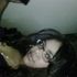 Grace Arias