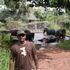 Jeevan N
