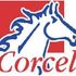 Corcel