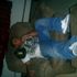 Kieve Nance