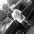 D MONEY