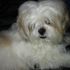 coby bilow