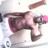 Dewayne Haymore