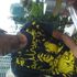 MOhd Fuad