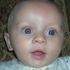 Kelly Wedel