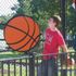 joe krupa