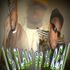 N Bezzy