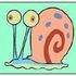 snail