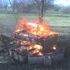 Coals