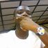 Emeka Chukwu