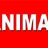 sd animals