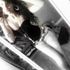 Ceriaa Mariee