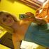 Haylie L