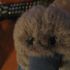Judy Bluepaws