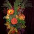 Parisian Florist
