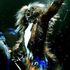 Macavity Jellicle