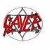 nyslayer