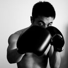 Will Box