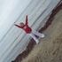 lucy thomas