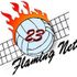 Flamming Nets