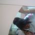 tiara wooten