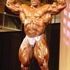 Matt Haskin