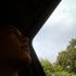 Cole Cole