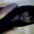 Brianna
