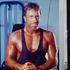 chuck norris