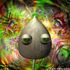 Triptocoma
