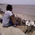 Prakash Rao