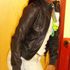 TIffany L
