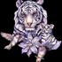 Tigerlover Noll