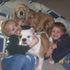 carrie Kruse