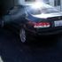 LisaLoo AndHondatoo