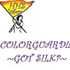 COLORGUARD HATTIESBURG