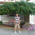 chris miller