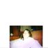 Catherine Sargent