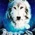 ROgue WOlf