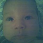 Wil Rivas