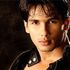 shahid kapoor