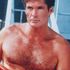 David Hasslehoff